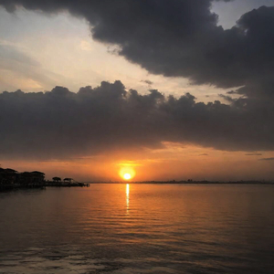 beni sevdiğini söylemiştin ya.