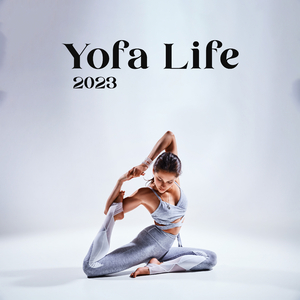 Meditation Experiences