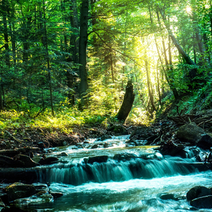 Binaural Deep Thoughts