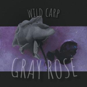 Gray Rose