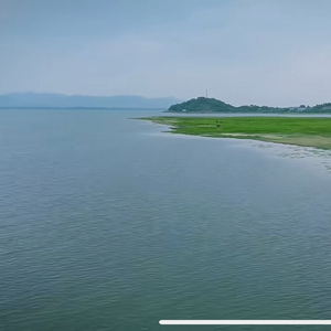 大冶湖的春天
