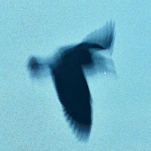 “痛苦残响 ”- SASIOVERLXRD×BOBBYNOPEACE TYPE BEAT