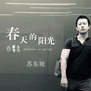 春天的阳光
