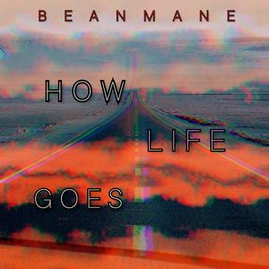 How Life Goes