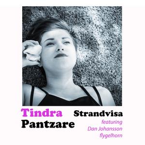 Strandvisa (feat. Dan Johansson)