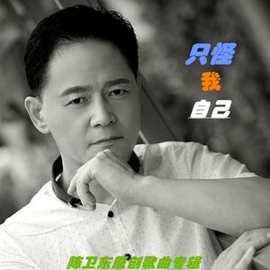 只怪我自己 伴奏