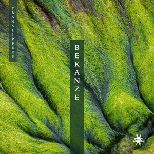 Tanks (Translippers Remix)