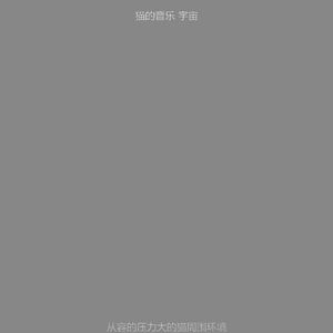 优美压力大的猫器乐