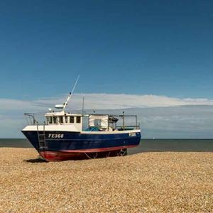 与心事共守无眠夜