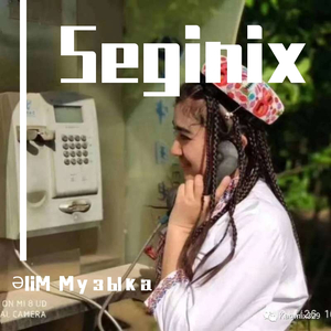 seginix