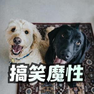 欢乐 搞笑 魔性 可爱