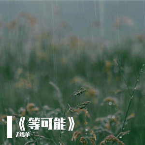 《等可能》