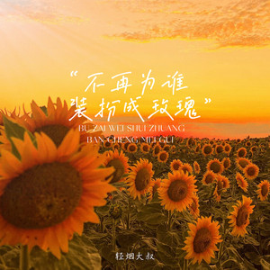不再为谁装扮成玫瑰