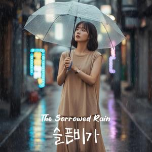 슬픈비가