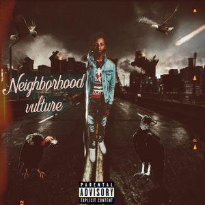 Neighborhood Vulture