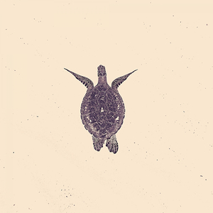 Terrific Son Montuno Trumpet - Vibe for Dinner Parties