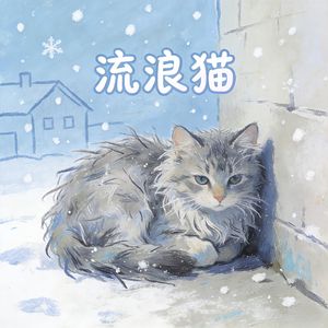 流浪猫