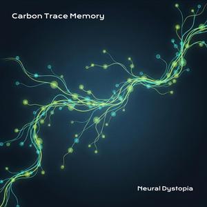 Carbon Trace Memory