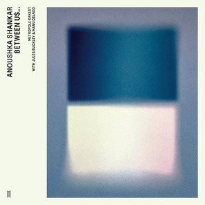 Voice of the Moon feat. Manu Delago (Live)