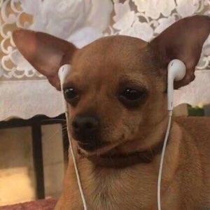 真没想名字Prod by Ljx Ghost