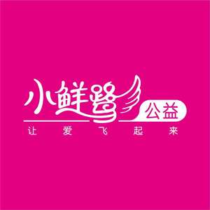 李盼 让爱飞起来---小鲜鹭公益主题曲