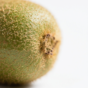 Waktu Menguji Kesetiaan