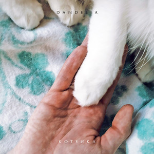 Котейка