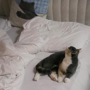 Clare Ave（克莱尔街）