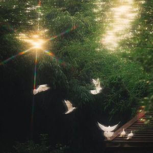 大脑消除疲劳音乐（钢琴）