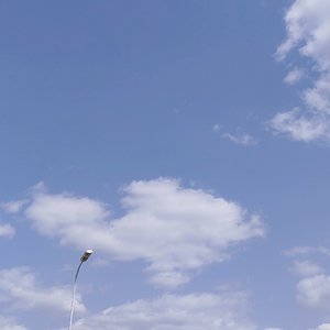 云从龙风从虎（翻自 莓仁爱）