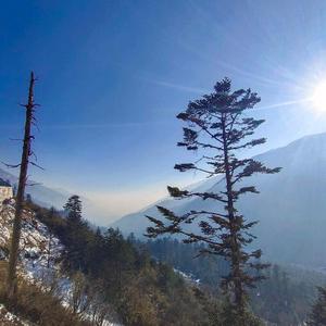 DJ BeejaDown（慕夏知礼 remix）