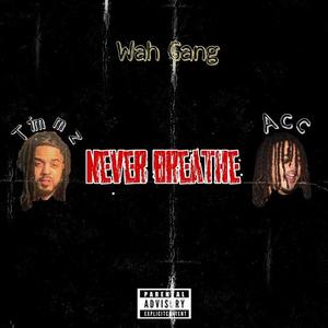 Never Breathe