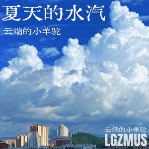 夏天的水汽
