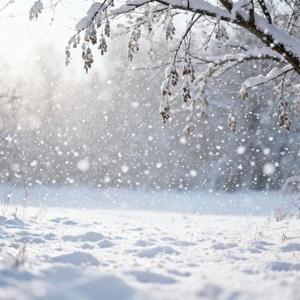 可是雪 (氛围DJ)