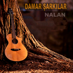 Nalan