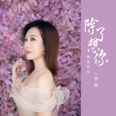 除了想你就是哭泣 (DJ默涵版)