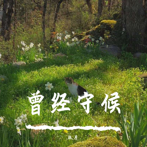 曾经守候