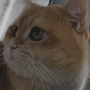 D小调融合钢琴协奏曲第一乐章_副本.wav