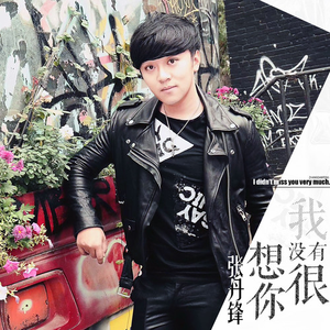 我没有很想你 (伴奏)