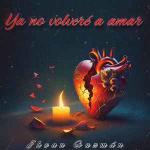 Ya no volveré amar