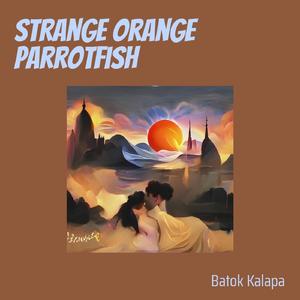 Strange Orange Parrotfish