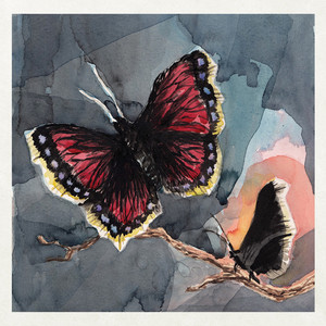 Morgon i sommarskrud