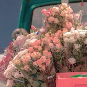 我在集市兜售春天（翻自：Vicky宣宣）