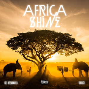 Africa Shine
