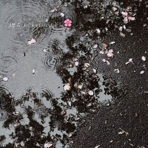 [FREE] "浪漫主义" Romantic Type Beat