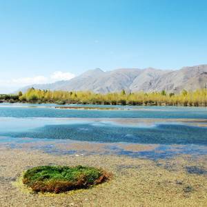忘れる理由を教えてください