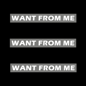 Want from Me (feat. Danny Fernandes)