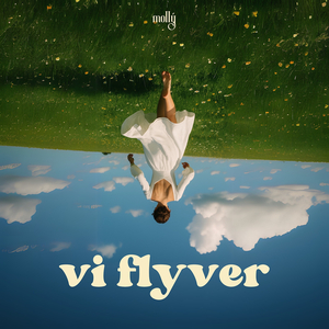 Vi Flyver