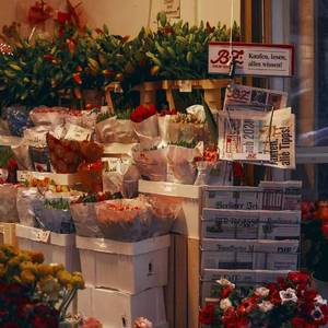 云烟成雨（cover：房东的猫）