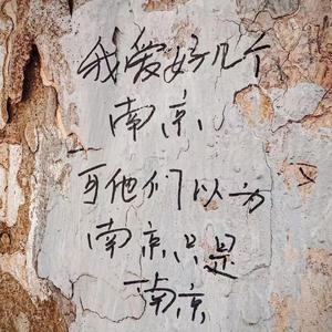 你离开了南京（翻自 逼哥）